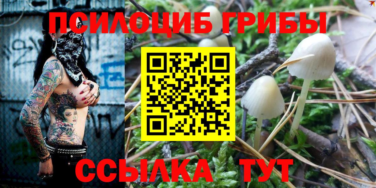 Псилоцибиновые грибы MAGIC MUSHROOMS  Вход с VPN  Рузаевка 